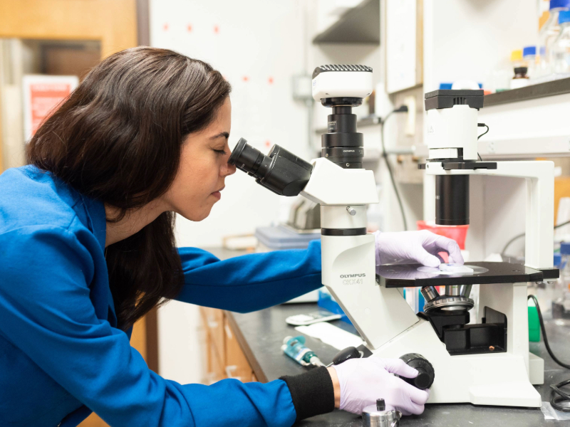Engineering student in biomaterials at scope