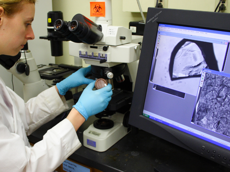 Engineering student in biomaterials lab at computer