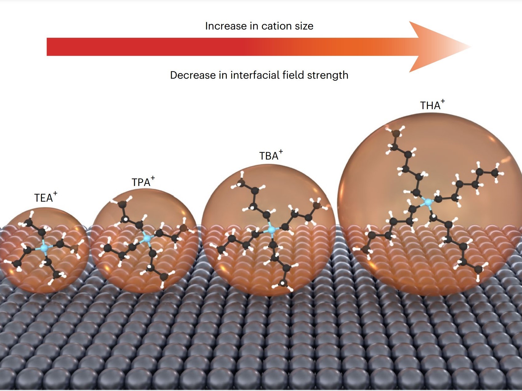 Simulation of catons as part of carbon dioxide reduction produced by Texas Engineers