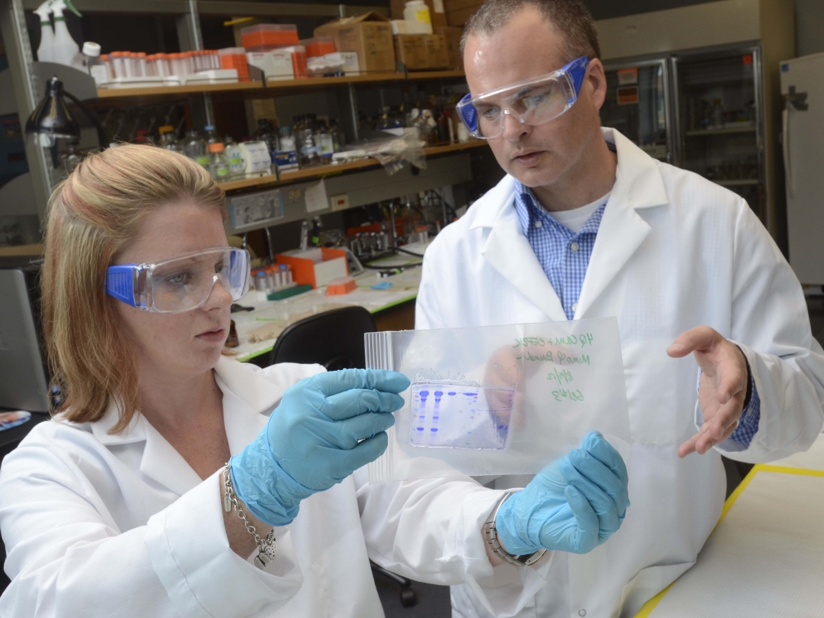 Kevin Dalby from the College of Pharmacy works on samples in a lab