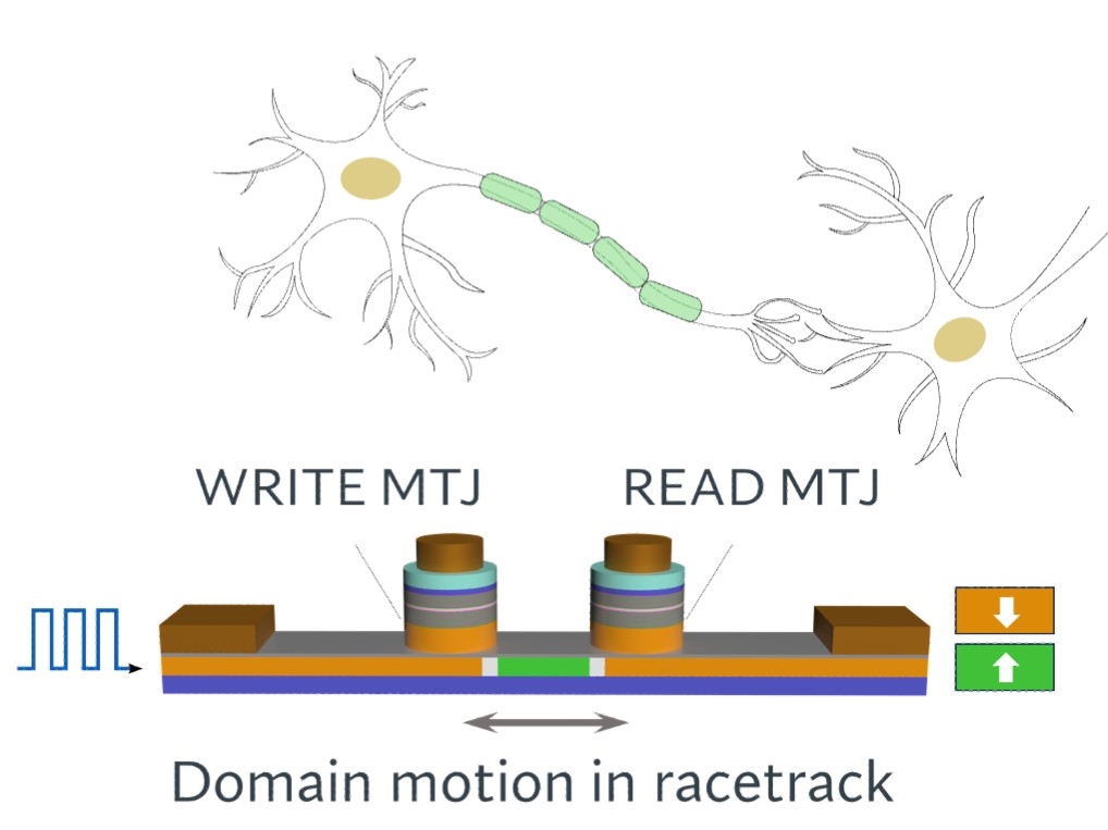 Magnets Emulate Neurons for Next-Generation Computing