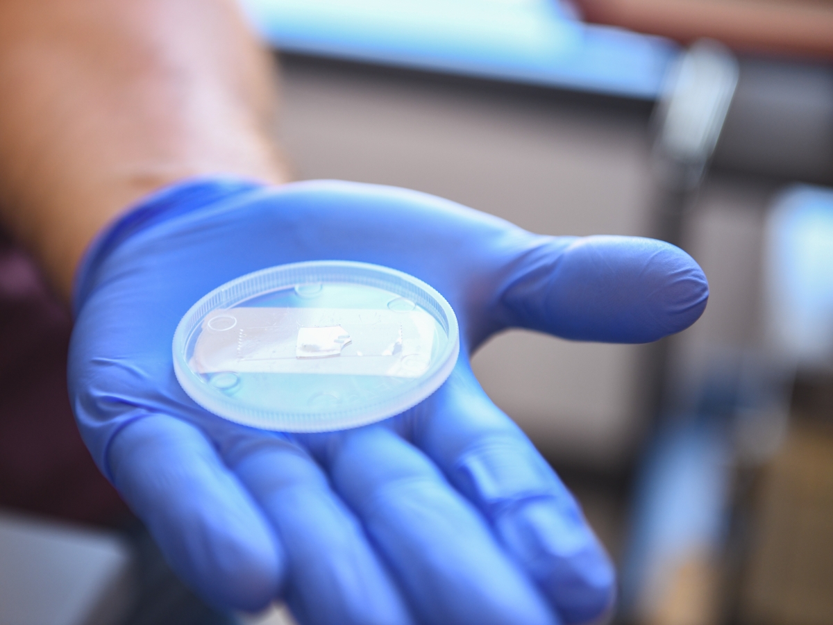 sapphire sample in a gloved hand in a lab at The University of Texas at Austin