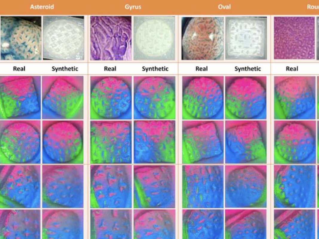 real and synthetic diagnostic images part of Texas Engineers AI project