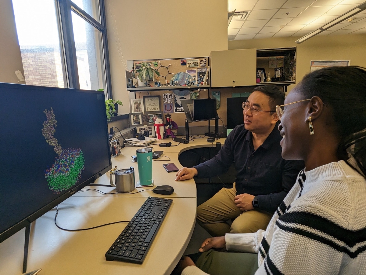 Texas Engineer Pengyu Ren looks at a computational model with a student