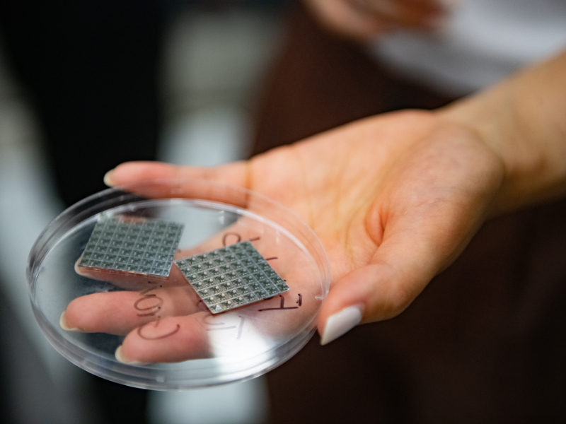 Semiconductor materials in a petri dish held by a scientist