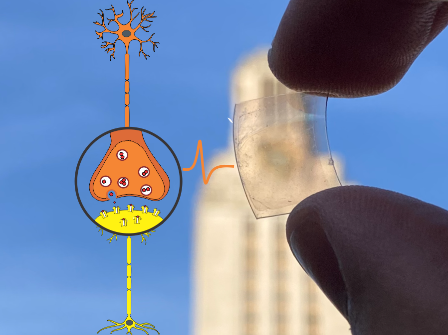 image of graphene material held with ut tower in background