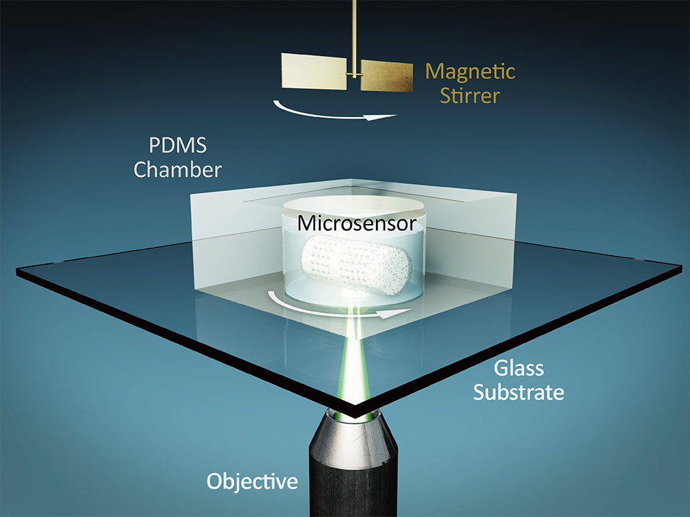 nanosensor diagram