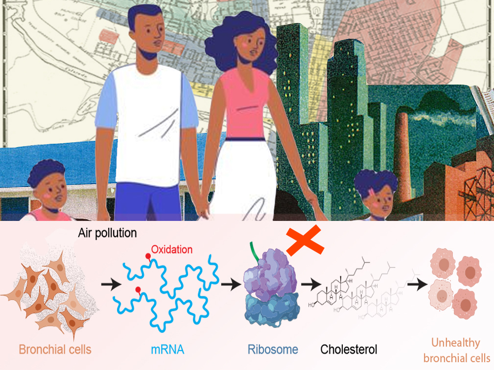 illustrative graphic of oxidation effects of air pollution