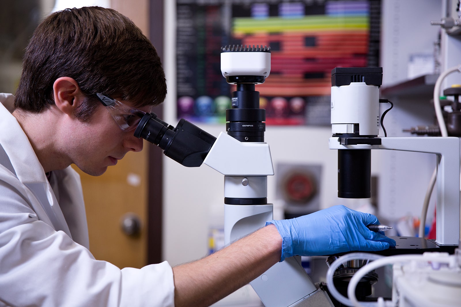 Biomedical Engineering