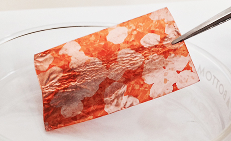 Graphene material held by tweezers