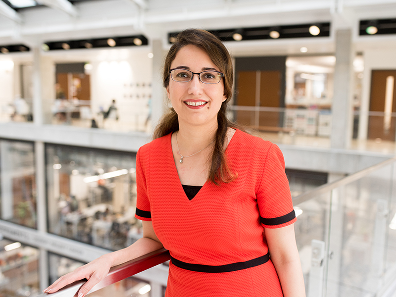 Texas engineering professor Zoya Heidari