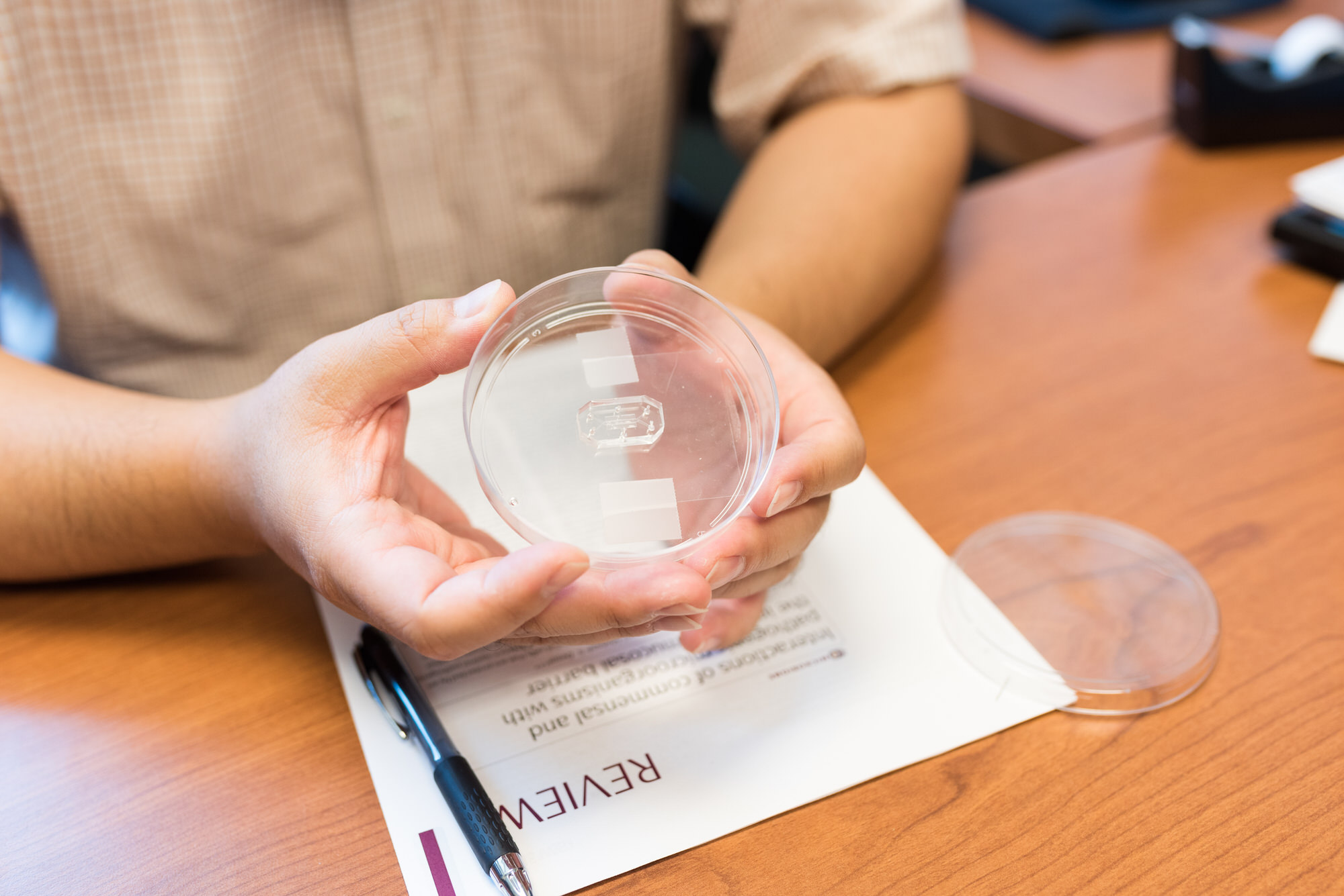 Gut on a chip technology pioneered by professor Kim