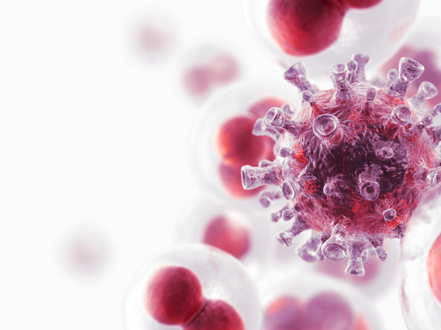 Microscopic view of cancer cells