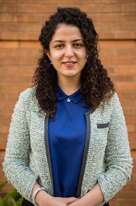 Texas Engineering researcher Shadi Goodarzi