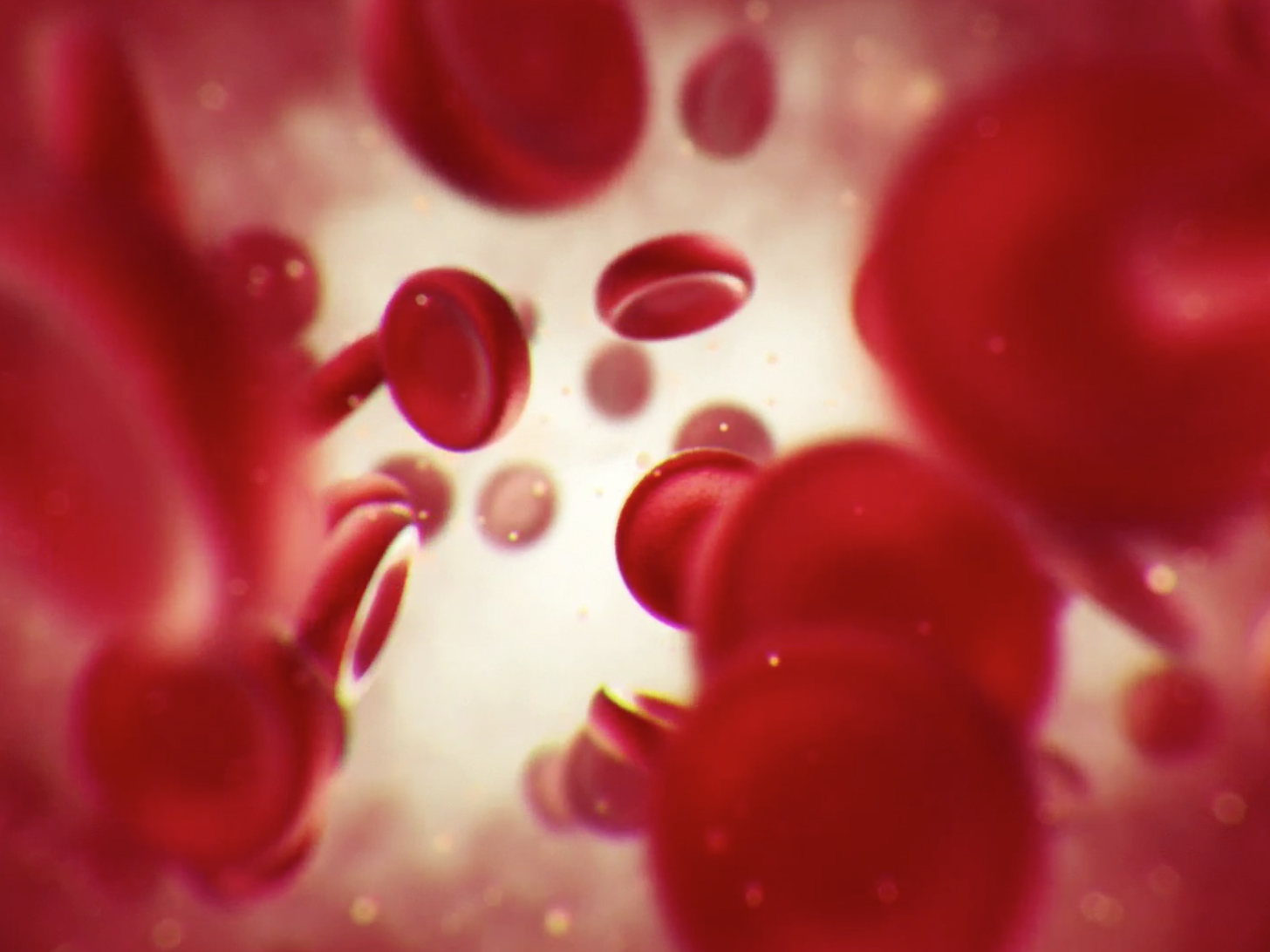 Microscopic view of blood cells