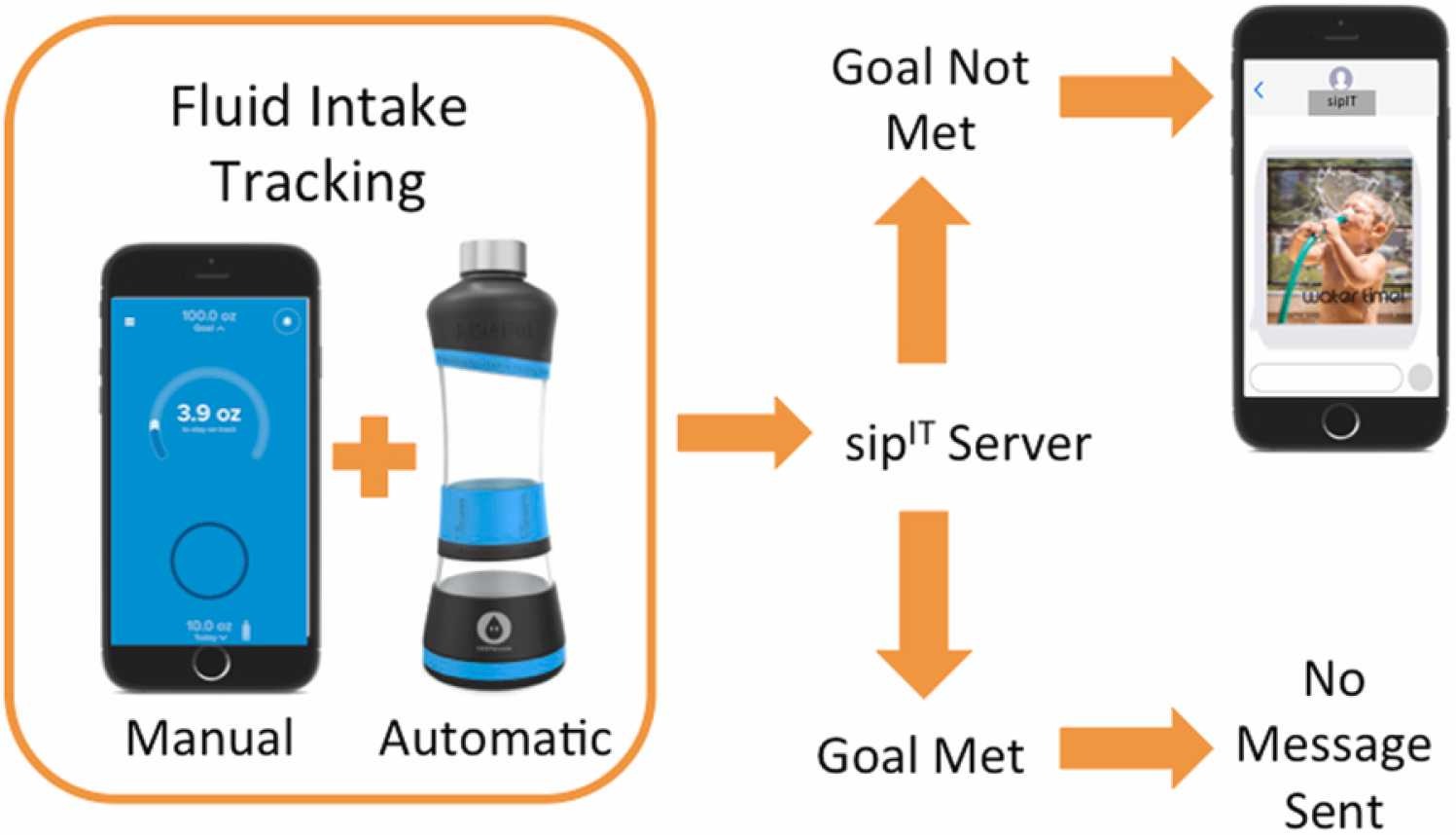 Technology pathway for sipIT kidney prototyping.