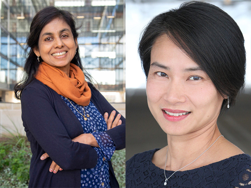 lizy john and van truskett