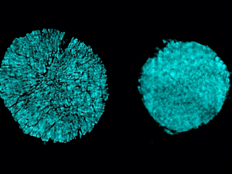 X-ray tomography images taken at Brookhaven National Lab show cracking of a particle in one electrode of a battery cell that used a conventional electrolyte (as seen on the left). The researchers found that using a novel electrolyte prevented most of this cracking (right).