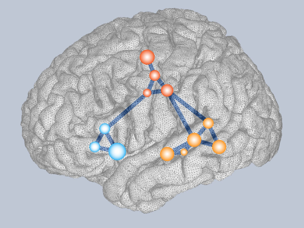 Illustration of the brain and a lit up neural network