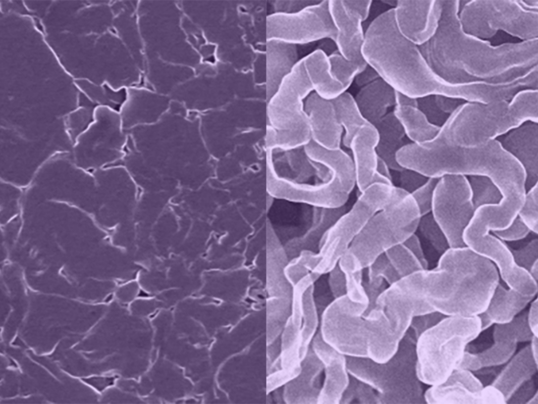 microscope view of sodium battery