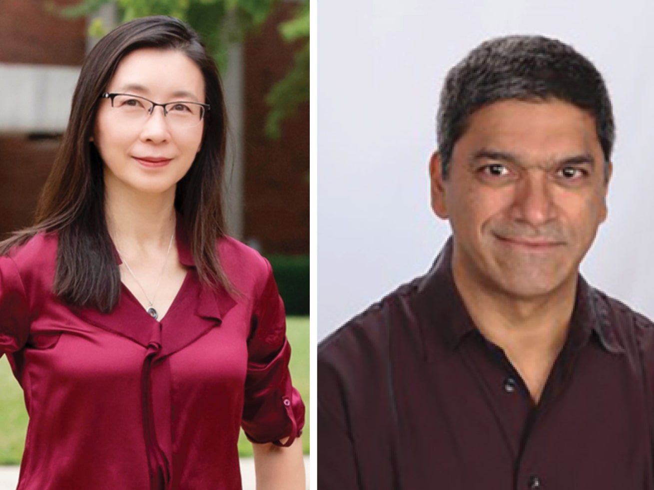 Texas engineers Xiuling Li and Lance Manuel