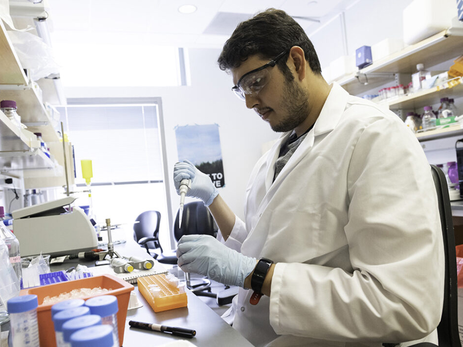 Jason Mclellan working in his research lab