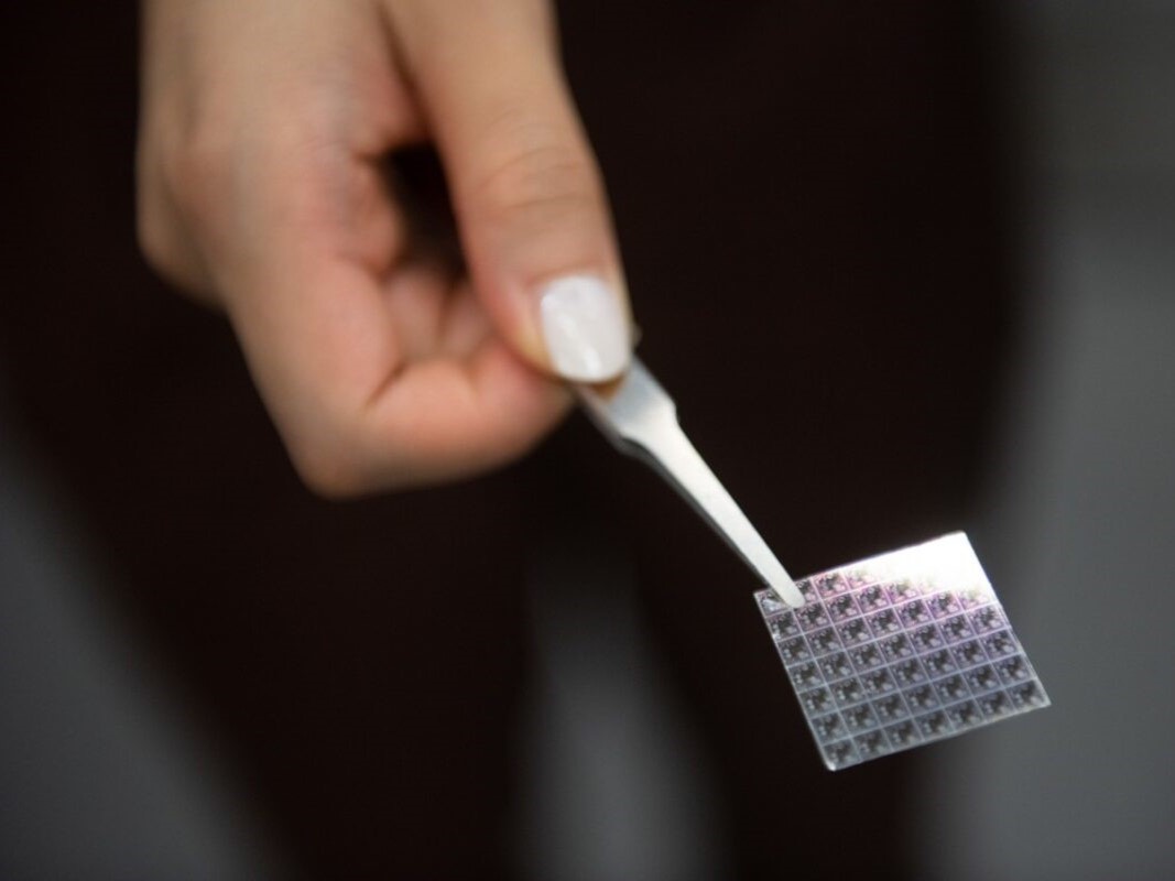 semiconductor being held by a pair of tweezers