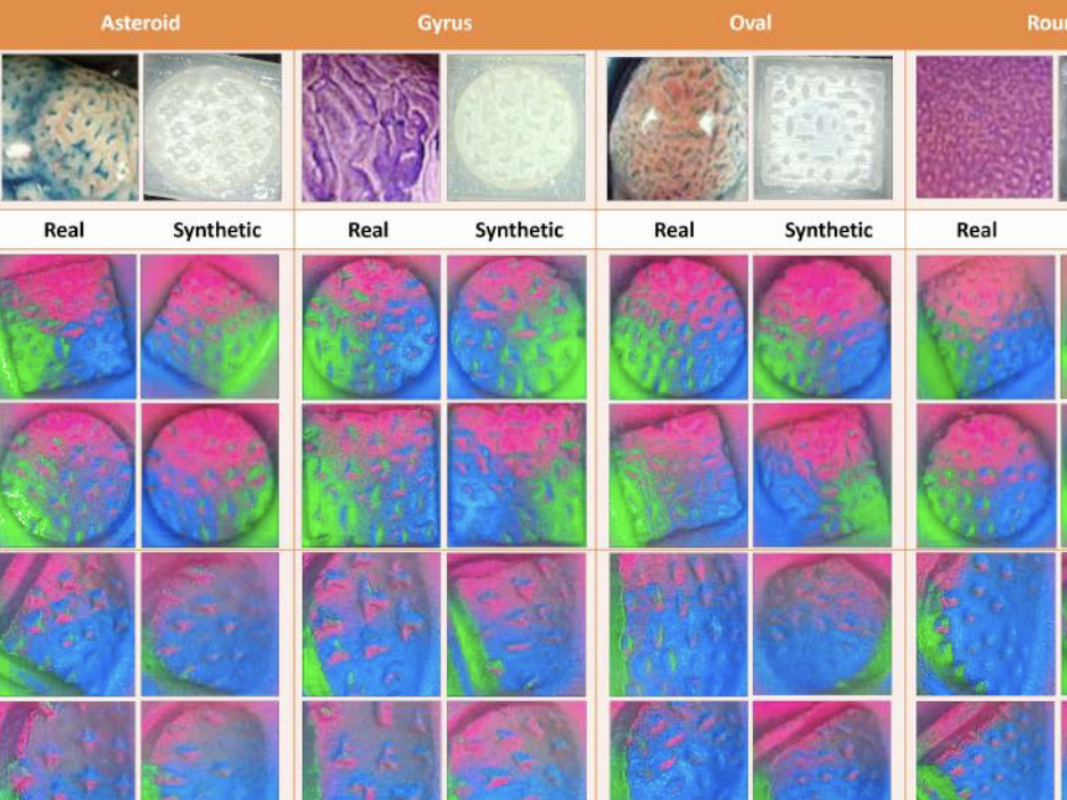 Real and synthetic diagnostic images part of Texas Engineers AI project