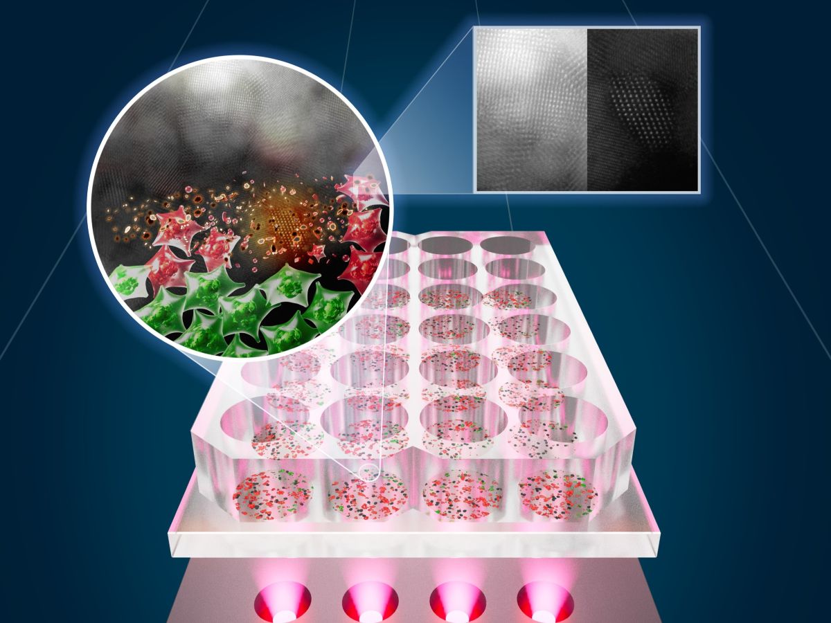 A graphic representation of the research team from The University of Texas at Austin and Porto University in Portugal's light-based cancer treatment platform.