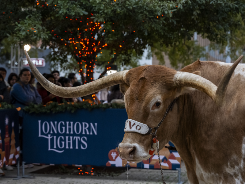 UT Austin mascot BEVO in front of Longhorn Lights banner and crowd