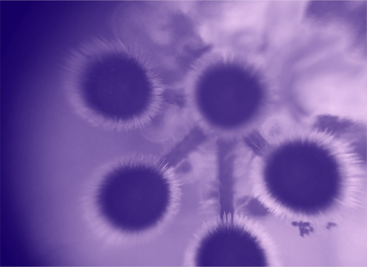 Microscopic view of a cell