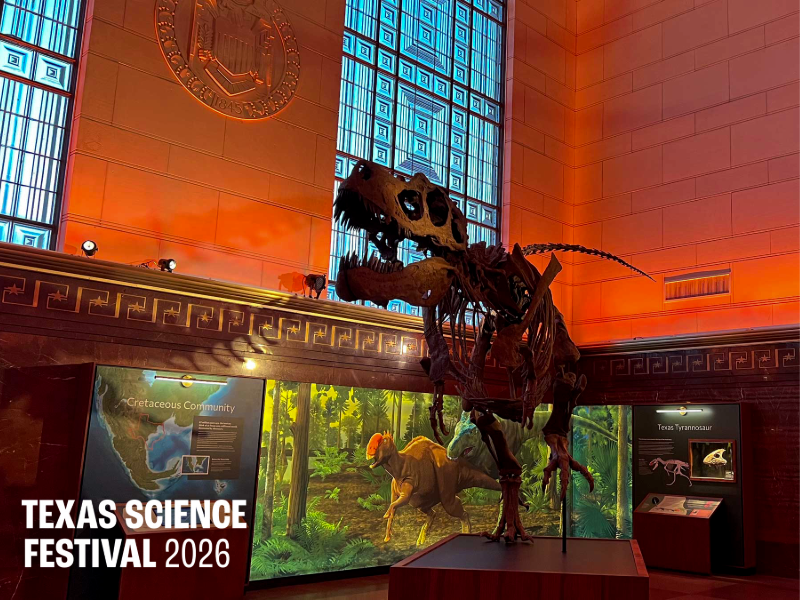 A T-Rex skeleton displayed in a museum