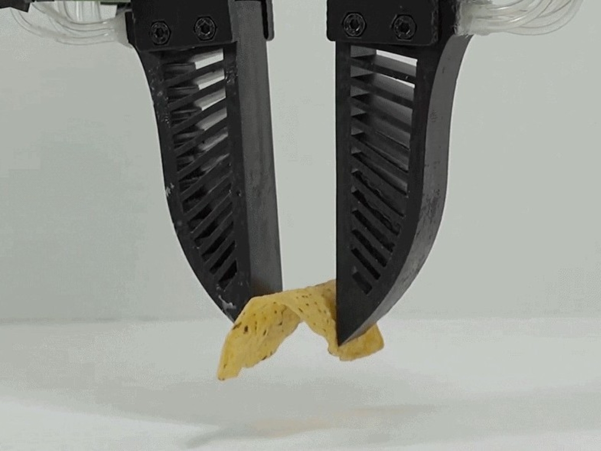 A robot gripper made by Texas Engineer Lillian Chin and her students.