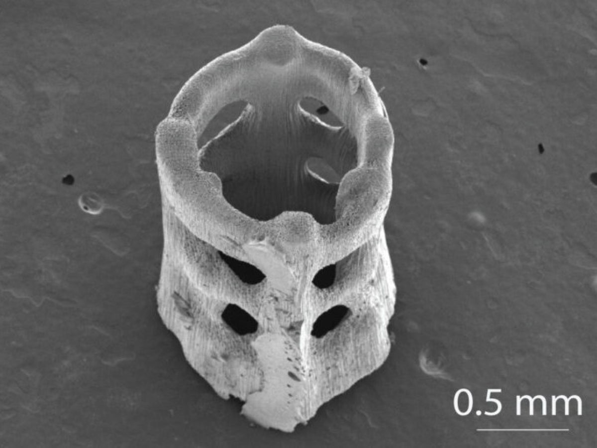 A microscopic image of a 3D printed object