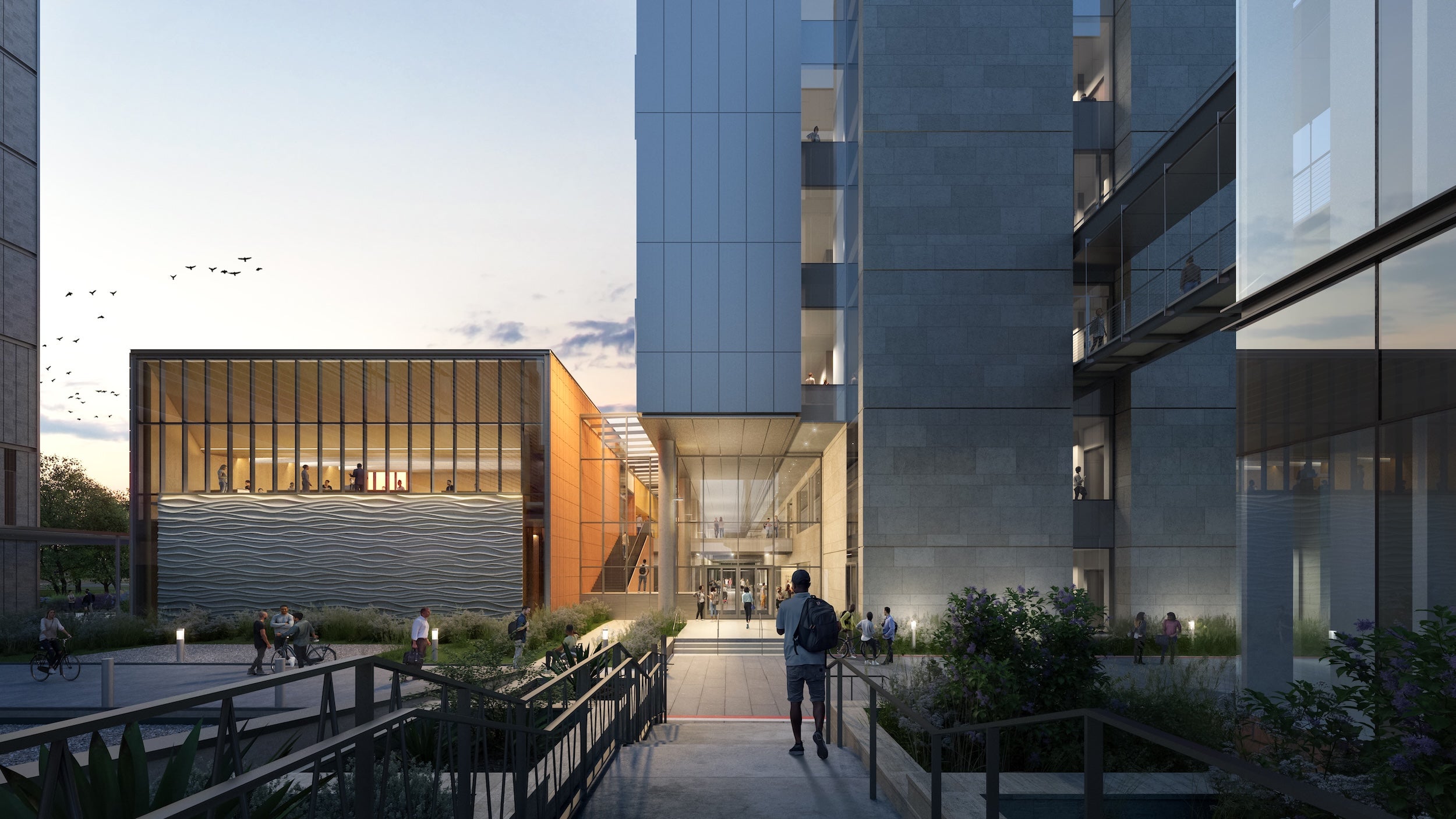 Rendering of the ACS building at dusk with birds and students walking