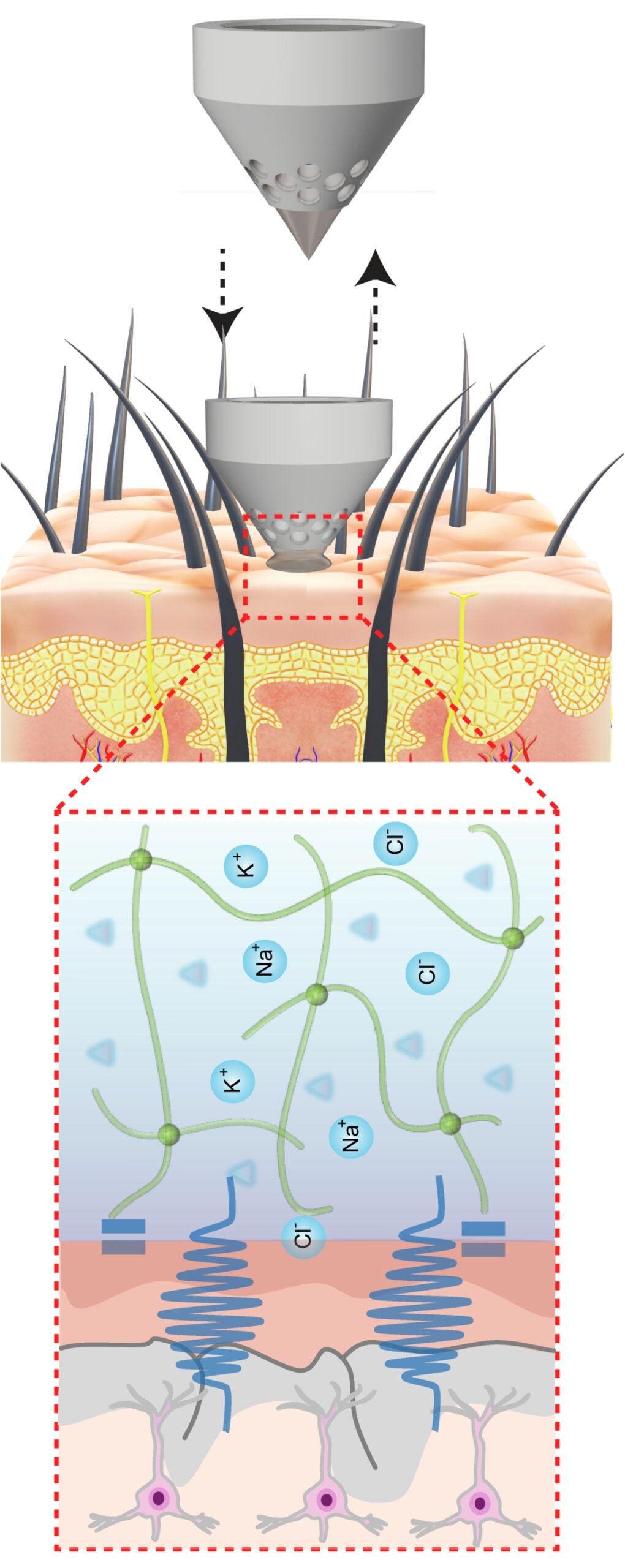 A visualization of an EEG monitoring electrical signals in the body.