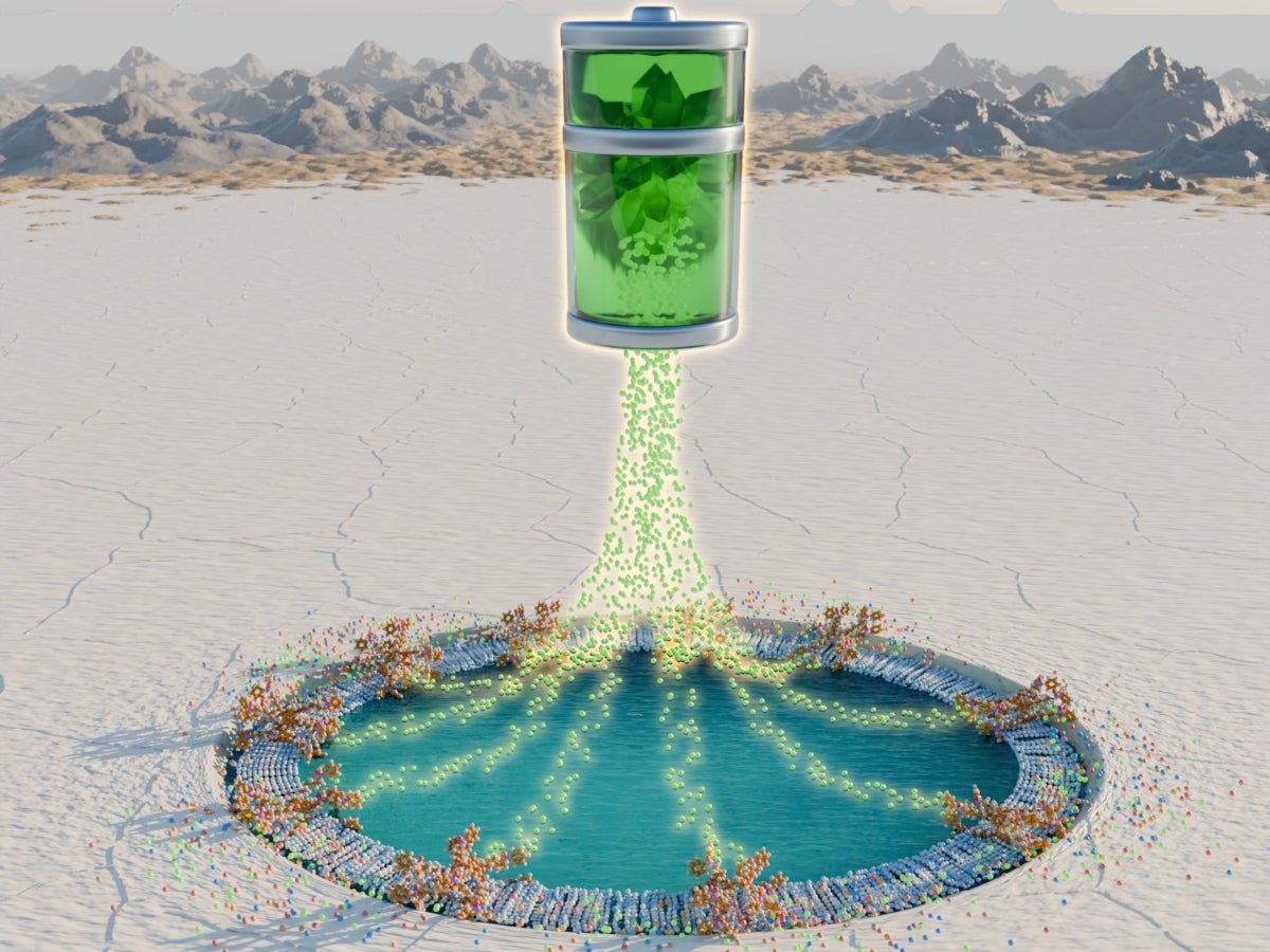 Lithium Channels Improve Key Element’s Extraction - Cockrell School of ...