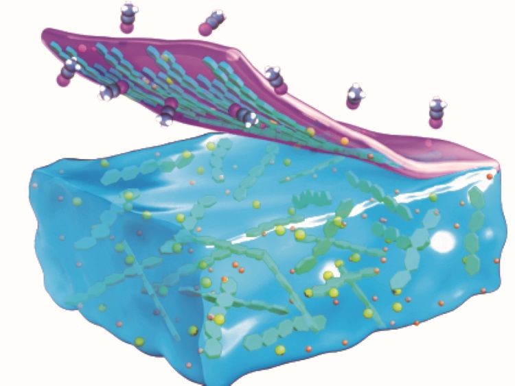 Graphic demonstrating the milk-skin effect